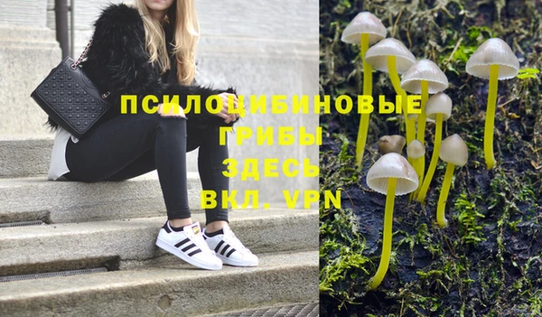 спиды Алзамай
