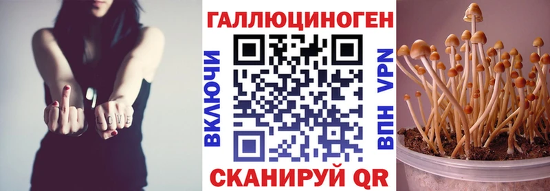 Галлюциногенные грибы GOLDEN TEACHER Карабаш
