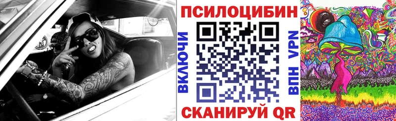 Псилоцибиновые грибы Psilocybe  Карабаш 